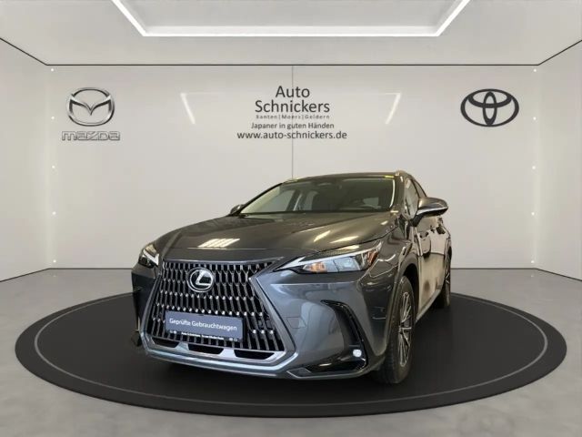 Lexus NX Executive Line