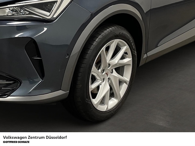 Cupra Formentor 2.0 TDI Navigation Einparkhilfe