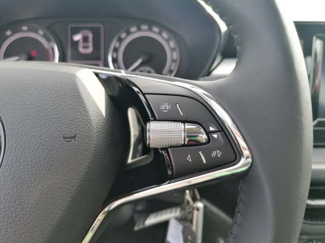 Skoda Fabia Selection