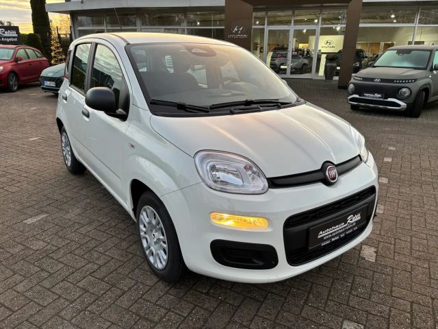 Fiat Panda Panda 1.0 GSE Mild-Hybrid | Klima | Tagfahrlicht