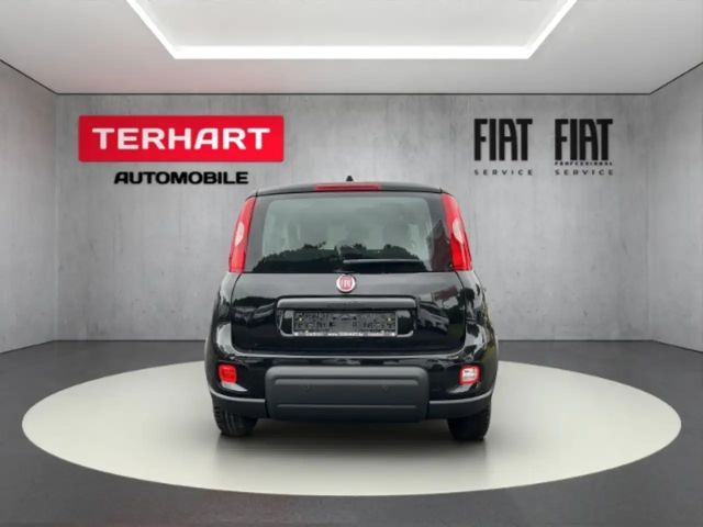 Fiat Panda /Pandina 1.0 Mild Hybrid/PDC/Start&Stopp