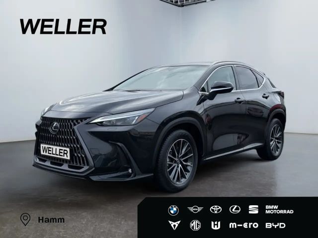 Lexus NX Executive Line