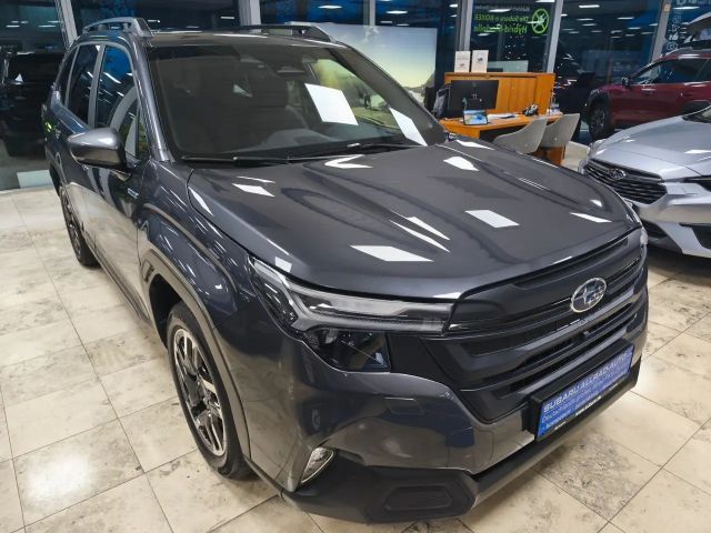 Subaru Forester Exclusive