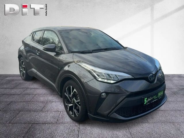 Toyota C-HR Team D