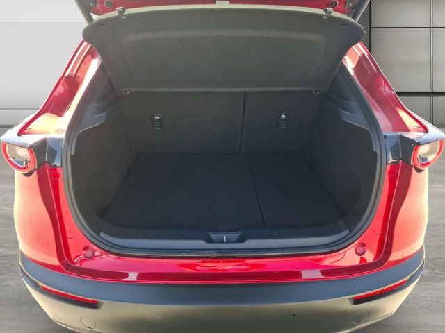 Mazda CX-30 4WD Selection SkyActiv