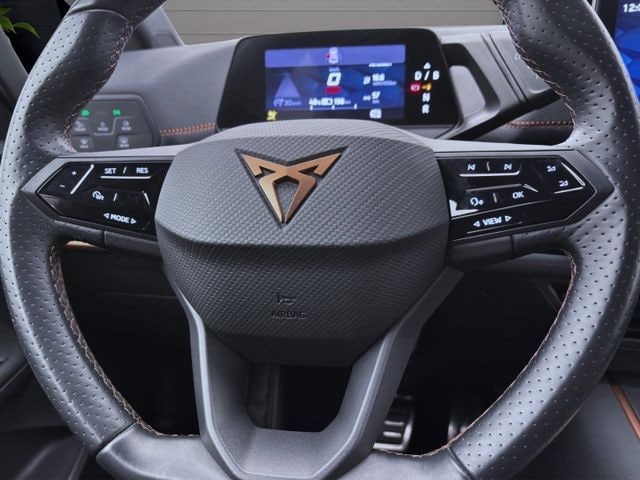 Cupra Born Born PDC SITZHZG LED KLIMA LM19 DAB+