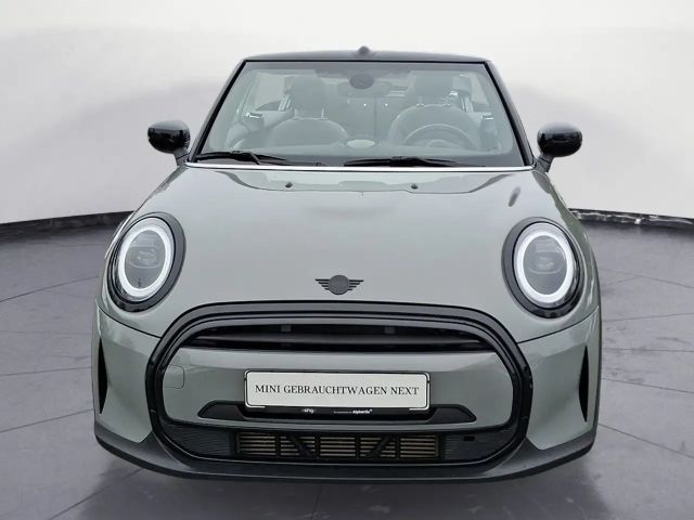 MINI Cooper Cabrio MINI Yours Trim Aut. Navi Leder