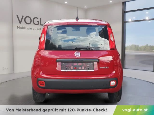 Fiat Panda Panda Pandina Mild Hybrid