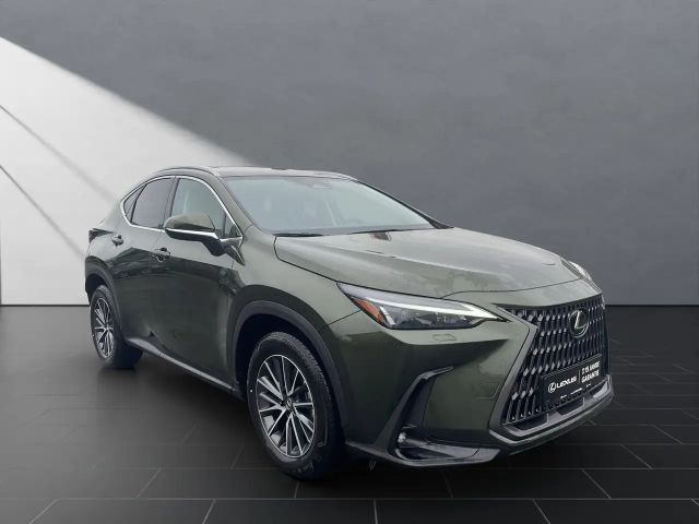 Lexus NX Executive Line
