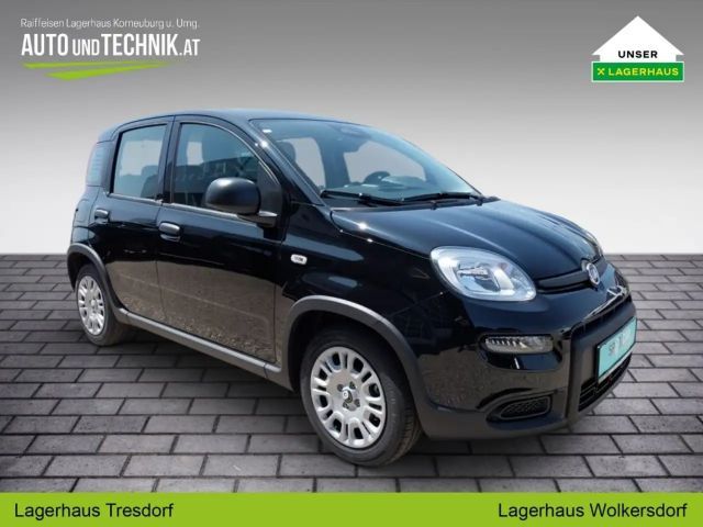 Fiat Panda PT70