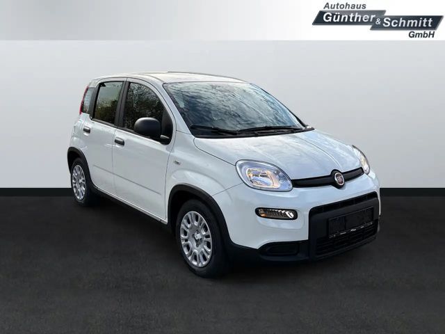 Fiat Panda 1.0 Pandina
