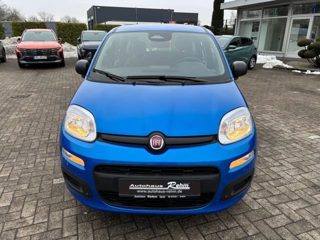 Fiat Panda Icon
