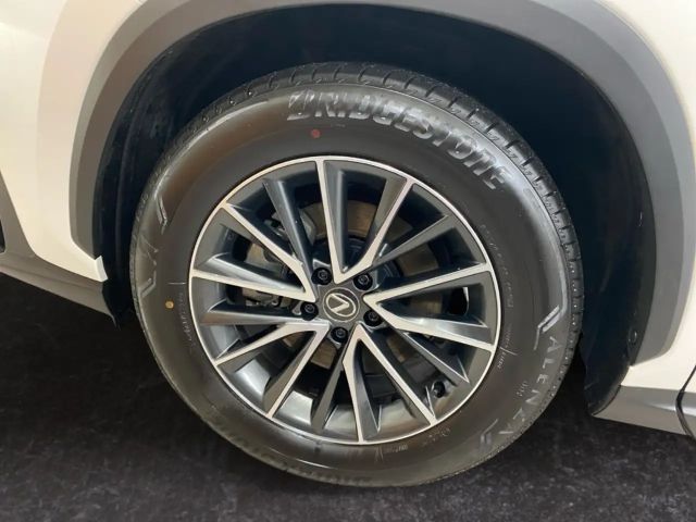 Lexus NX Executive Line