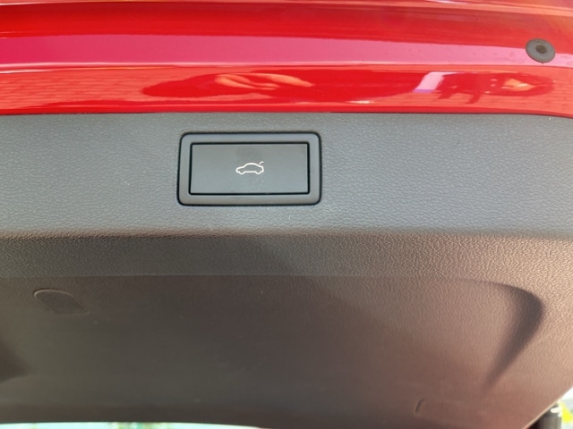 Skoda Kamiq Monte Carlo