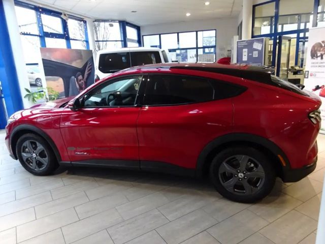 Ford Mustang Mach-E Basis,Navi,PaketCo-Pilo,Fina3,99%