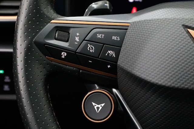 Cupra Formentor 2.0 TSI DSG VZ