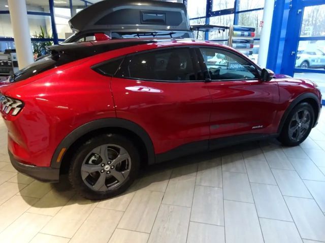 Ford Mustang Mach-E Basis,Navi,PaketCo-Pilo,Fina3,99%