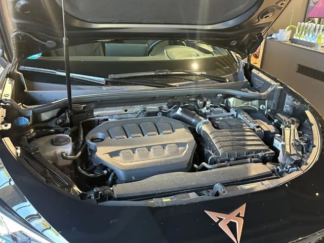 Cupra Terramar 2.0 TSI VZ