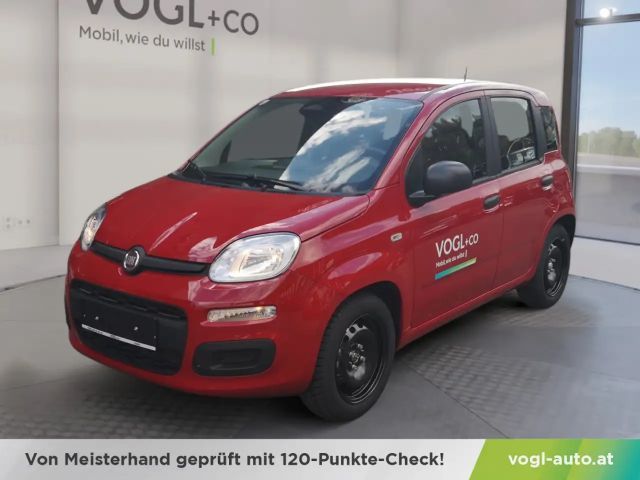 Fiat Panda Panda Pandina Mild Hybrid