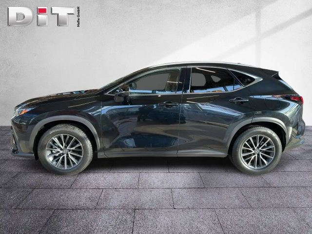 Lexus NX Executive Line