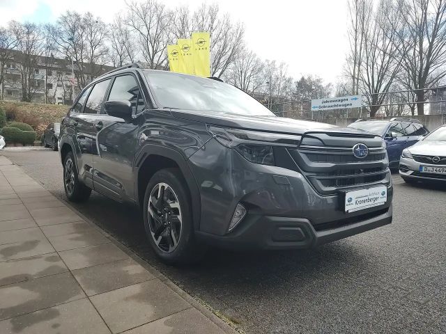 Subaru Forester Exclusive