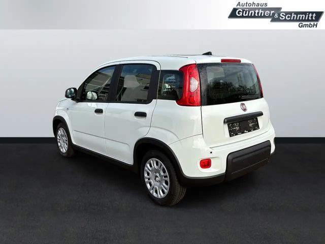Fiat Panda 1.0 Pandina