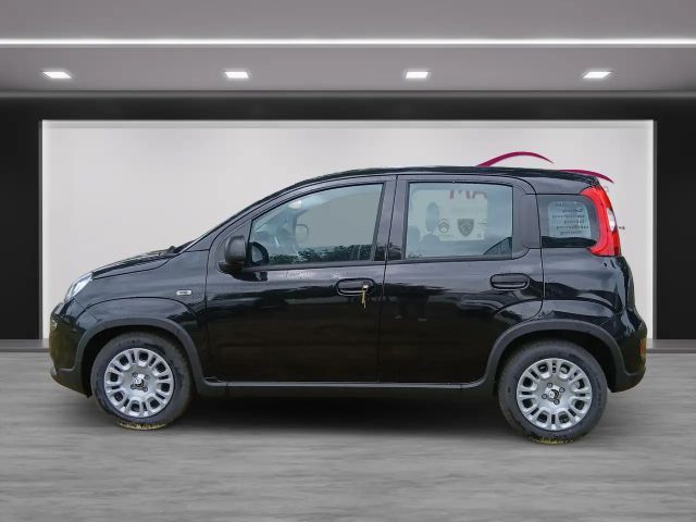 Fiat Panda Pandina 1.0 GSE