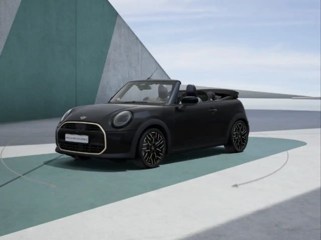 MINI Cooper Cabrio Pack XL - Favoured Trim
