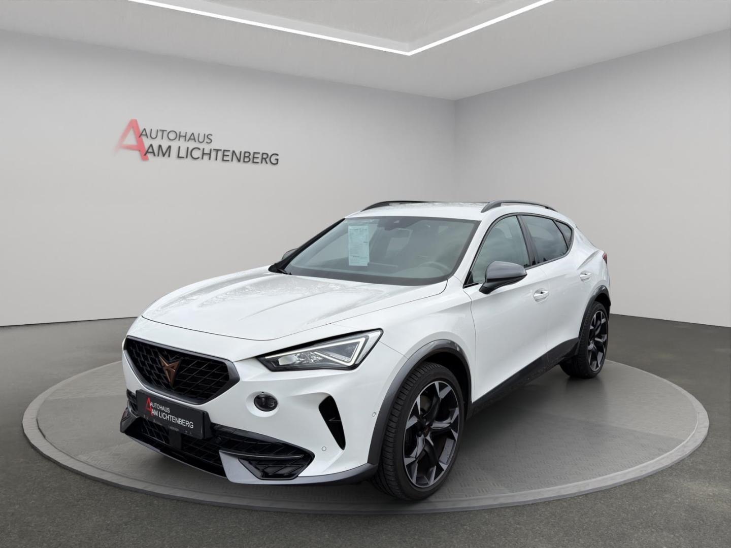 Cupra Formentor 2.0 TSI 4Drive VZ