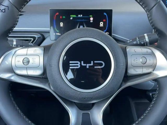 BYD Dolphin Surf Boost