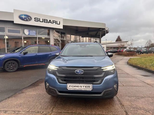 Subaru Forester Exclusive