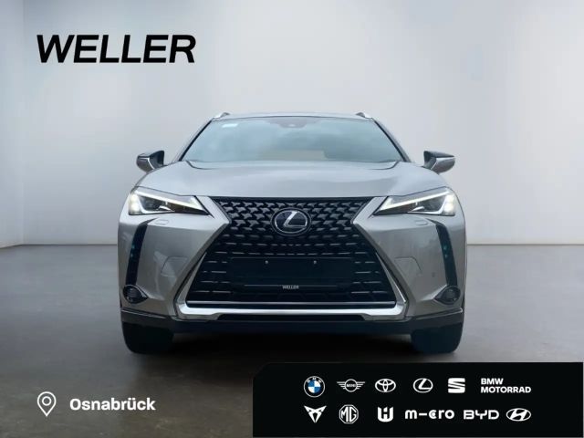 Lexus UX *Bi-LED*Leder*4x SHZ*el Sitze*Kamera*ACC*