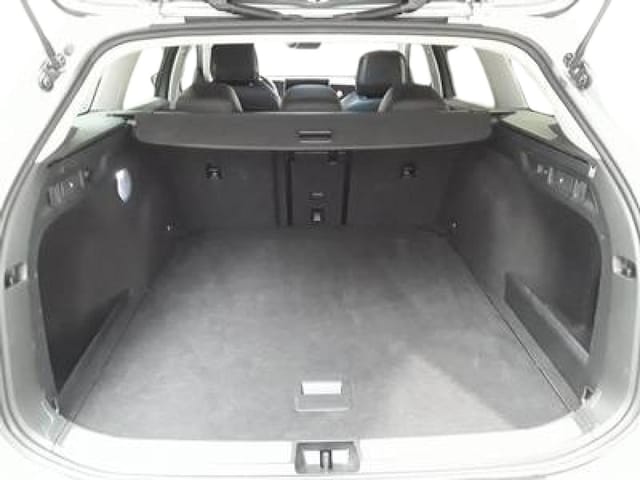 Volkswagen Passat 1.5 eTSI Business DSG Variant