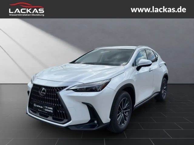 Lexus NX Executive Line