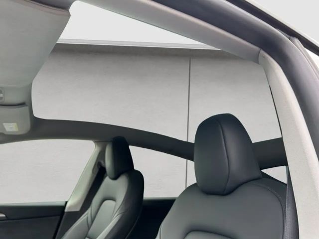 Tesla Model Y AWD Dual Motor Performance