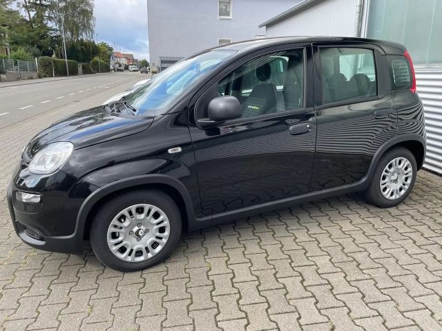 Fiat Panda Panda Hybrid