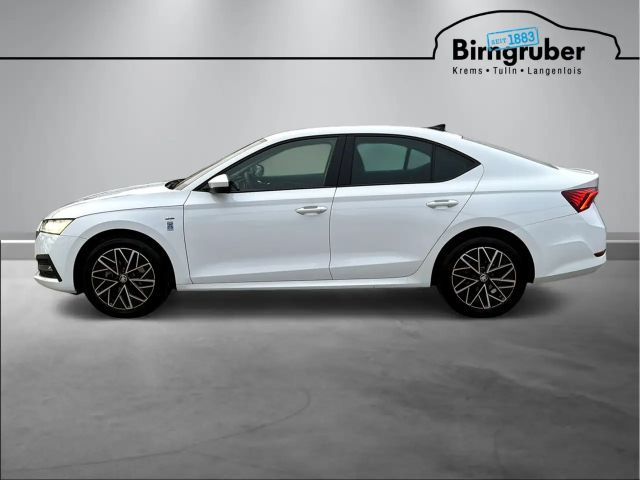 Skoda Octavia Ambition