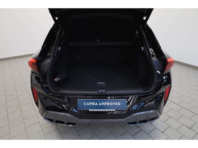 Cupra Terramar 2.0 TSI VZ