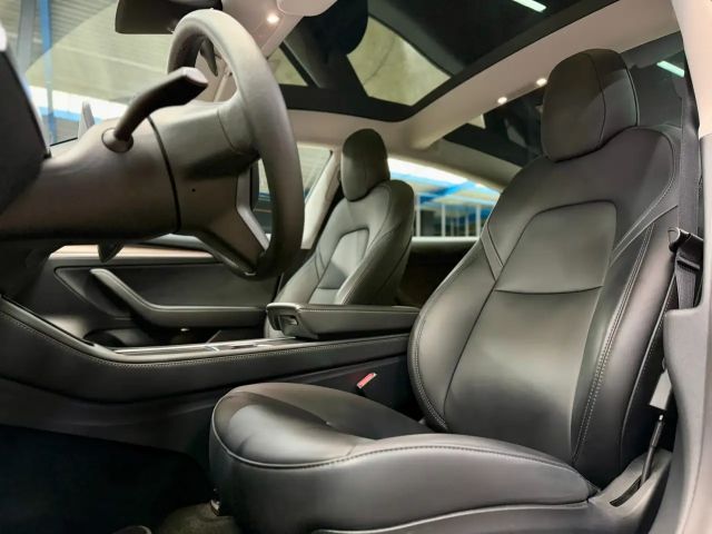 Tesla Model 3 Performance