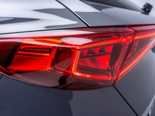 Cupra Formentor 2.0 TSI 4Drive VZ