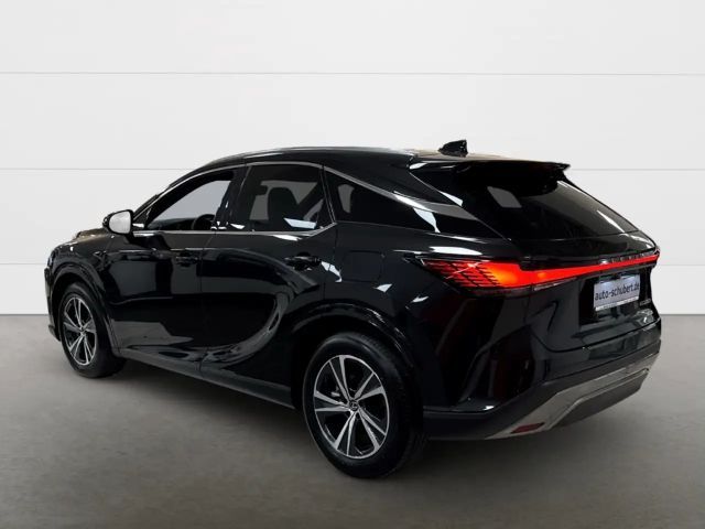 Lexus RX-Serie Business Line
