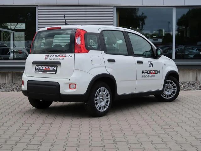 Fiat Panda Pandina 1,0 GSE Klimaanlage PDC M+S
