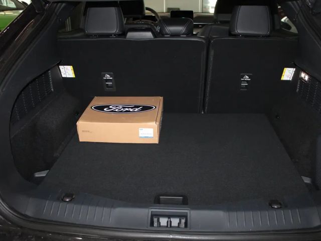 Ford Mustang Mach-E 99 kWh Top Ausstattung + Panoramadach