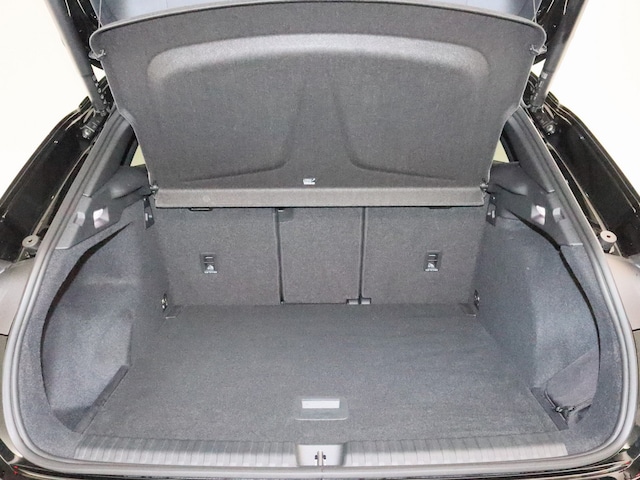 Cupra Terramar 2.0 TSI VZ