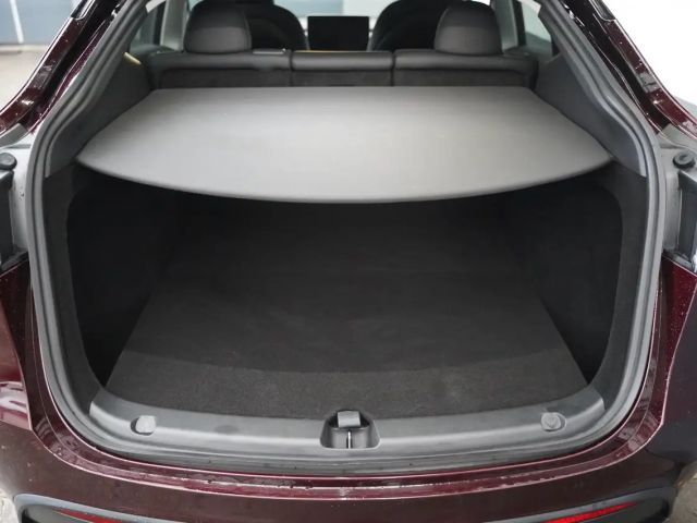 Tesla Model Y Performance