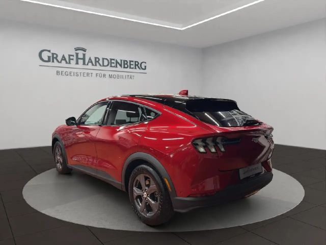 Ford Mustang Mach-E Basis