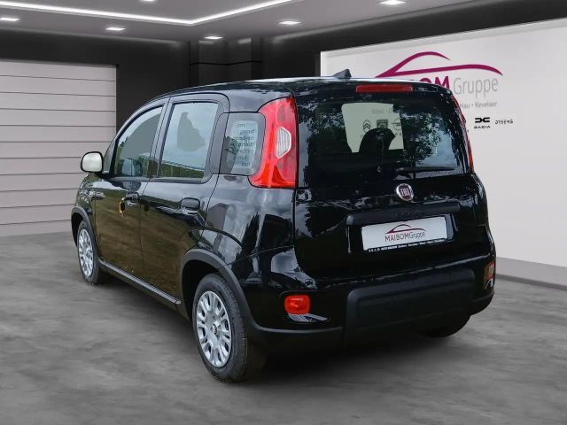 Fiat Panda Pandina 1.0 GSE