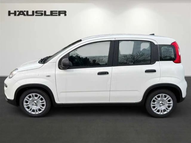 Fiat Panda Hybrid 1.0 GSE,Klima,PDC hinten