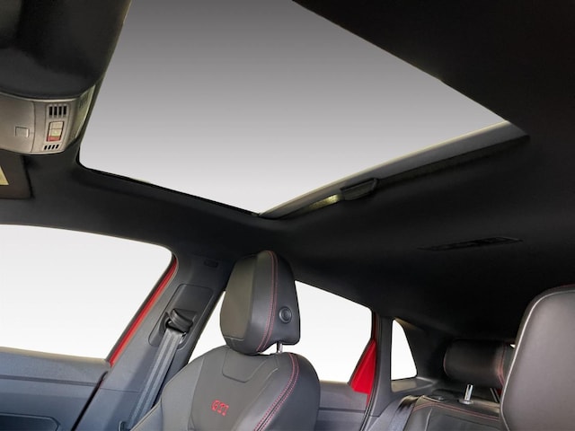 Volkswagen Polo 2.0 TSI DSG GTI