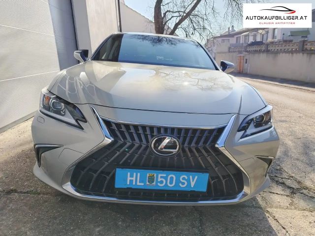 Lexus ES Business Line